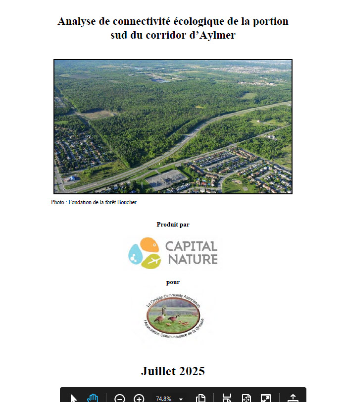 Preliminary Analyse - Cover